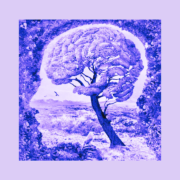 Alla ricerca dell’emozione perduta